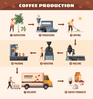 Coffee production poster with processing and roasting symbols cartoon vector illustration