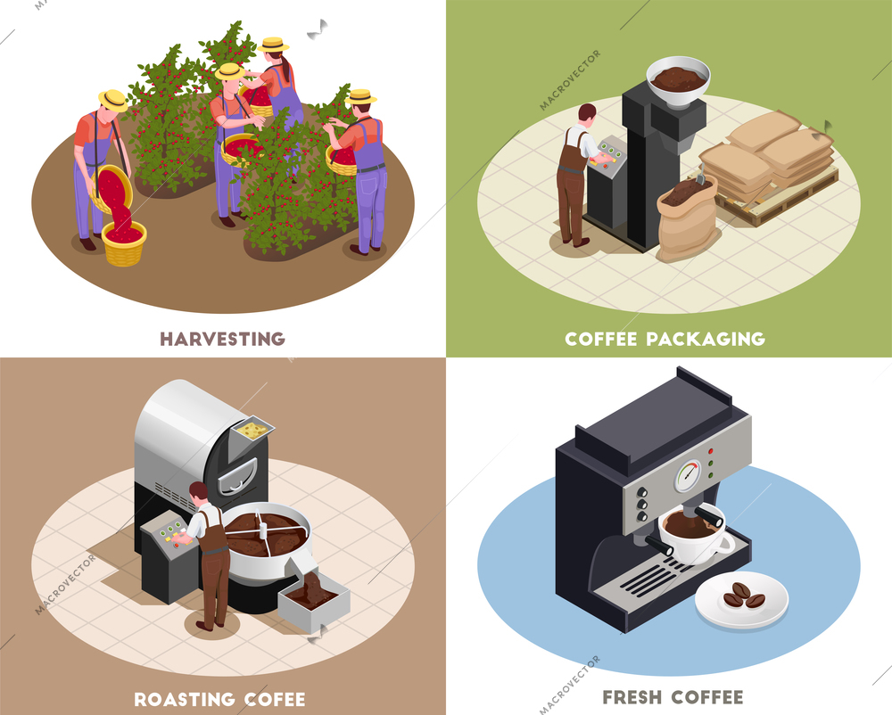 Coffee industry production concept 4 isometric icons square with harvesting roasting packaging fresh brewed drink vector illustration