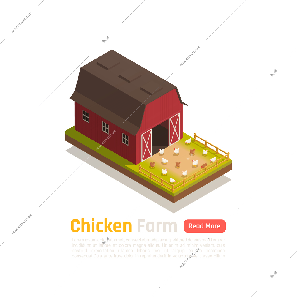 Poultry raising traditional barn system farm with free run grass fed chicken outdoor isometric composition vector illustration