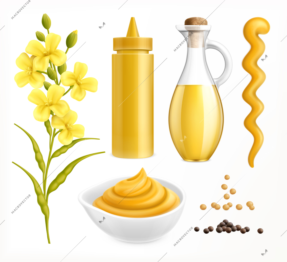 Mustard realistic set with colourful images of packaging with seeds and flower plants on blank background vector illustration