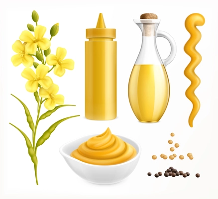 Mustard realistic set with colourful images of packaging with seeds and flower plants on blank background vector illustration