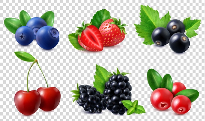 Berries icons set with cherry blueberry blackberry strawberry cranberry currant isolated on transparent background realistic vector illustration