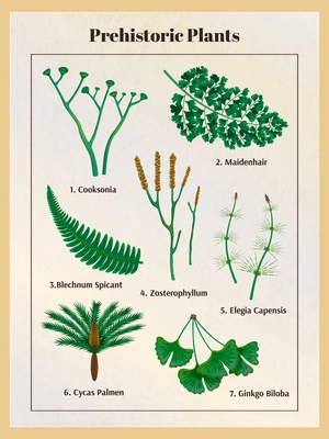 Prehistoric plants botanical set with text captions and isolated images of herbs inside the vertical frame vector illustration