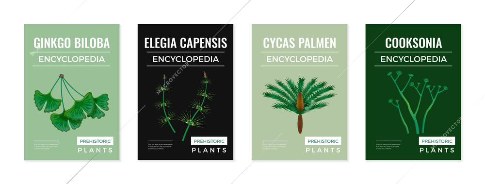 Set of four isolated vertical posters with colourful encyclopedia images of prehistoric plants and editable text vector illustration