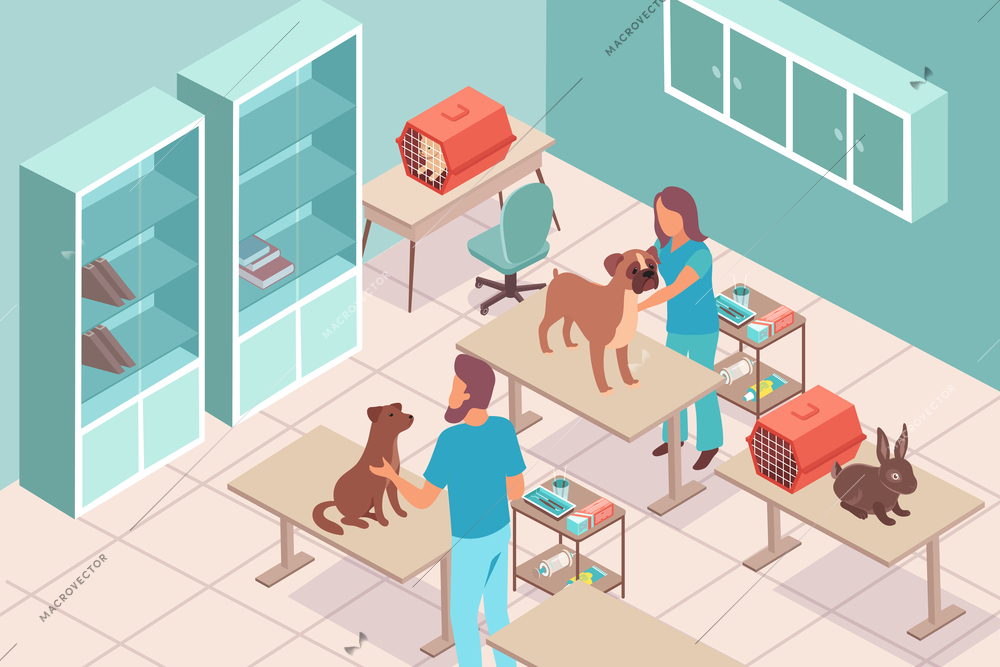Vet clinic isometric composition with indoor view of veterinary hospital room with medical specialists and pets vector illustration