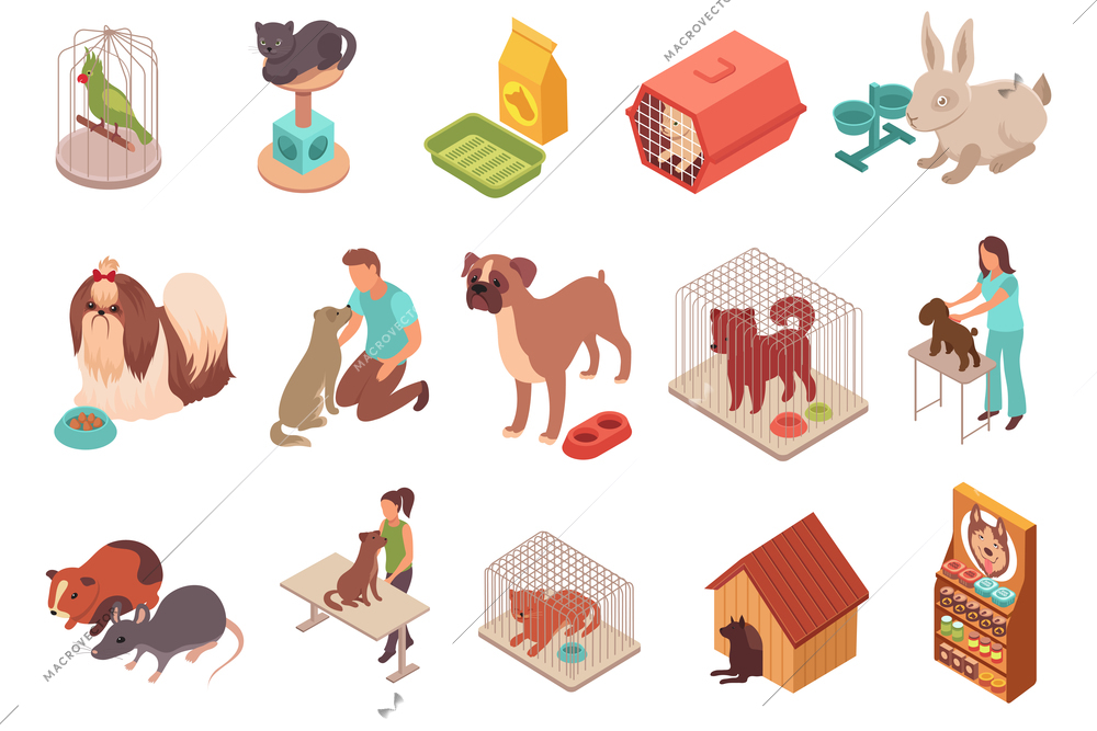 Pet animals isometric icons rodents parrot rabbit cats and dogs of different breeds isolated vector illustration