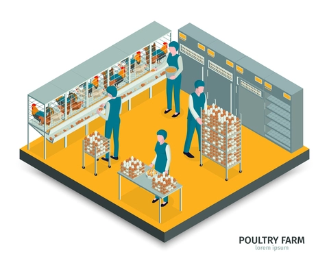 Isometric poultry farm composition with text and indoor view with workers gathering eggs into cabinet racks vector illustration