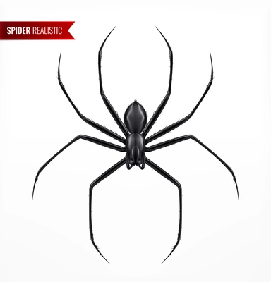 Black spider realistic composition with top view image of arthropod insect with text on blank background vector illustration