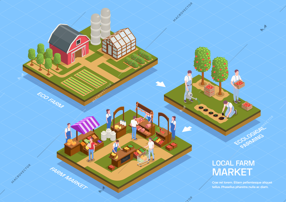 Local farmhouse facilities eco products growing harvesting selling at farmers market 3 isometric infographic compositions vector illustration