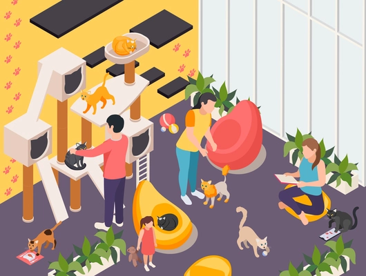 Pet hotel and day care center facility interior isometric compositions with playground gym for cats vector illustration