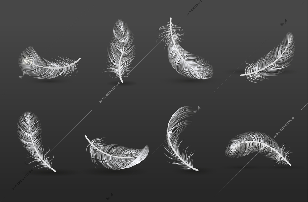 Realistic feather icon set with in different positions and from different sides vector illustration