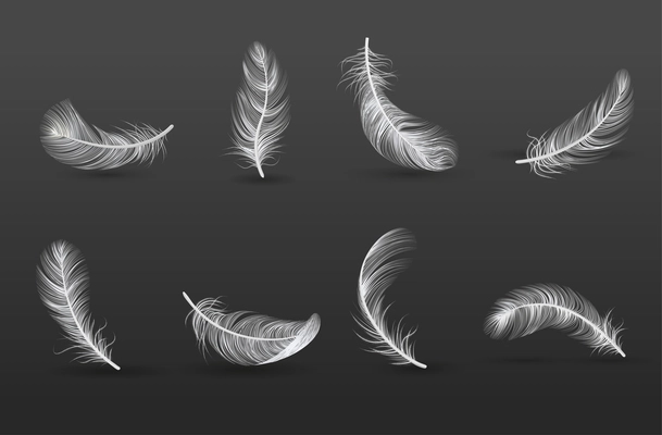 Realistic feather icon set with in different positions and from different sides vector illustration