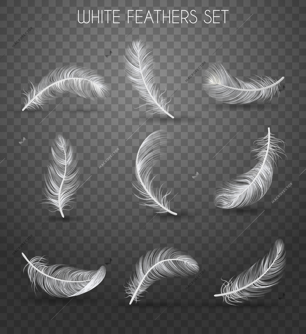 Realistic feather transparent set with white feathers set headline soft and light concept vector illustration
