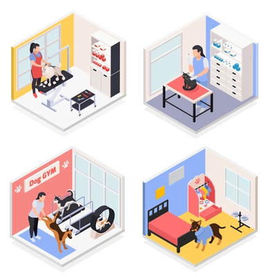 Pet services concept 4 isometric compositions with dog gym grooming salon vet day care center vector illustration