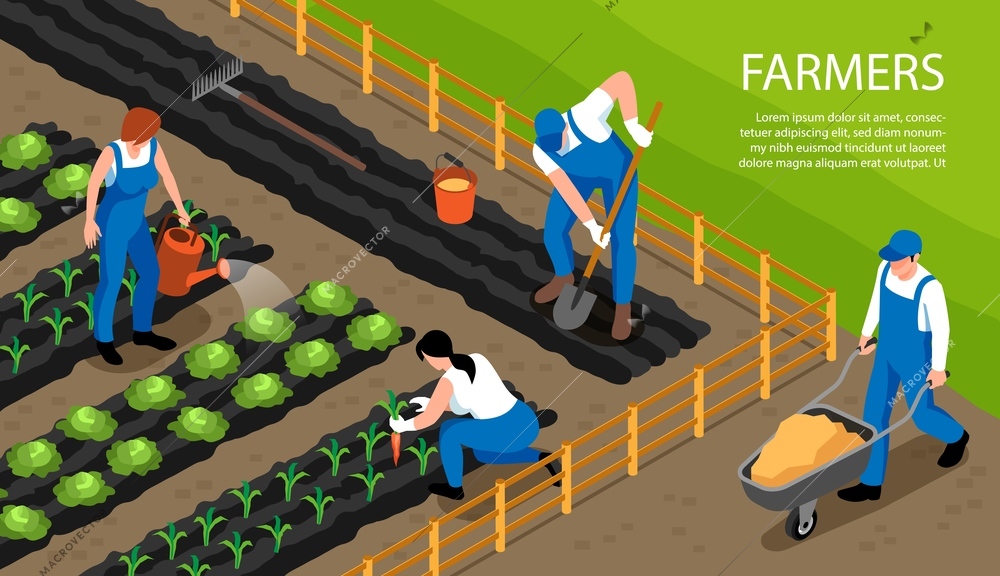 Farmers at work watering harvesting crops  cultivating soil isometric horizontal composition promoting healthy active farmlands vector illustration