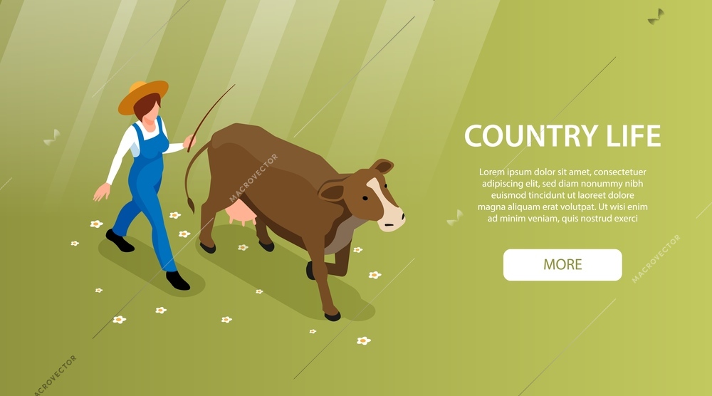 Livestock breeding country life isometric web banner with cattle farmer bringing dairy cow to graze vector illustration