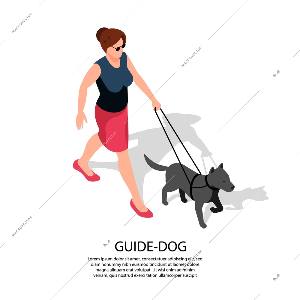 Blind woman in sun glasses walks with specially trained guide dog isolated isometric composition Lettering vector illustration