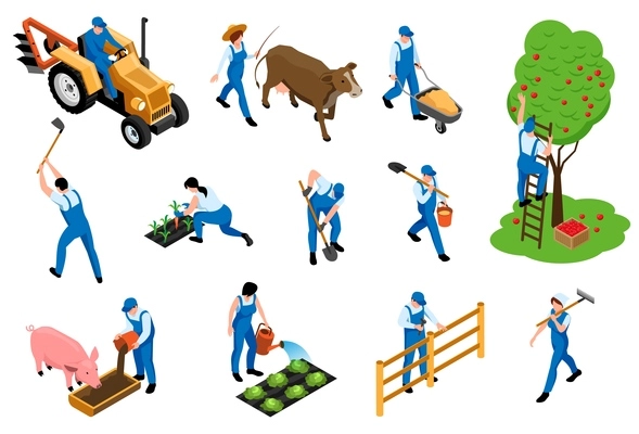 Farmers duties isometric icons set with dairy livestock breeding feeding pig harvesting orchard planting seedlings vector illustration