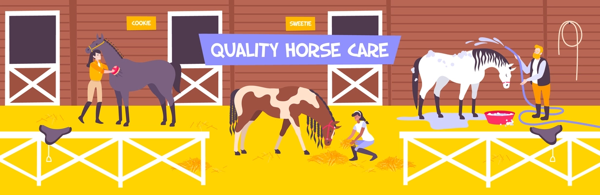 Horizontal and flat horse stable farm composition with quality hors care description vector illustration