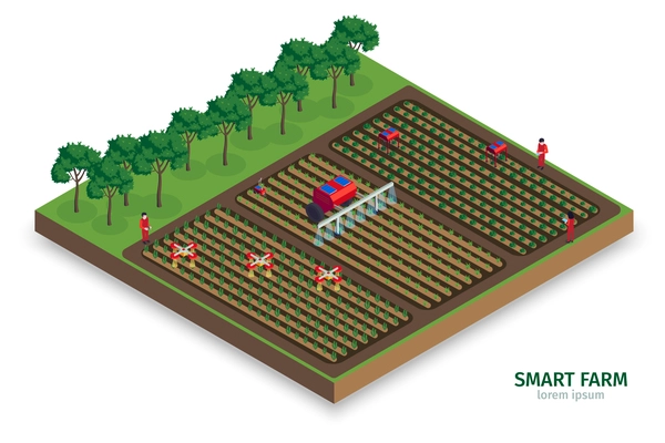 Isometric smart farm composition with outdoor view of plantations with trees people and automated drones tractors vector illustration