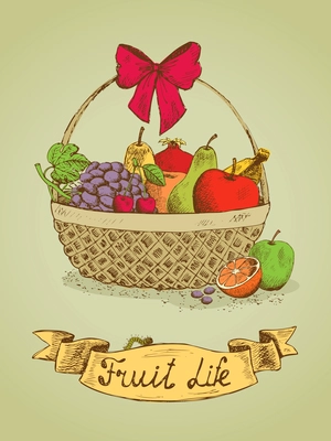 Fruit life gift basket with bow emblem vector illustration