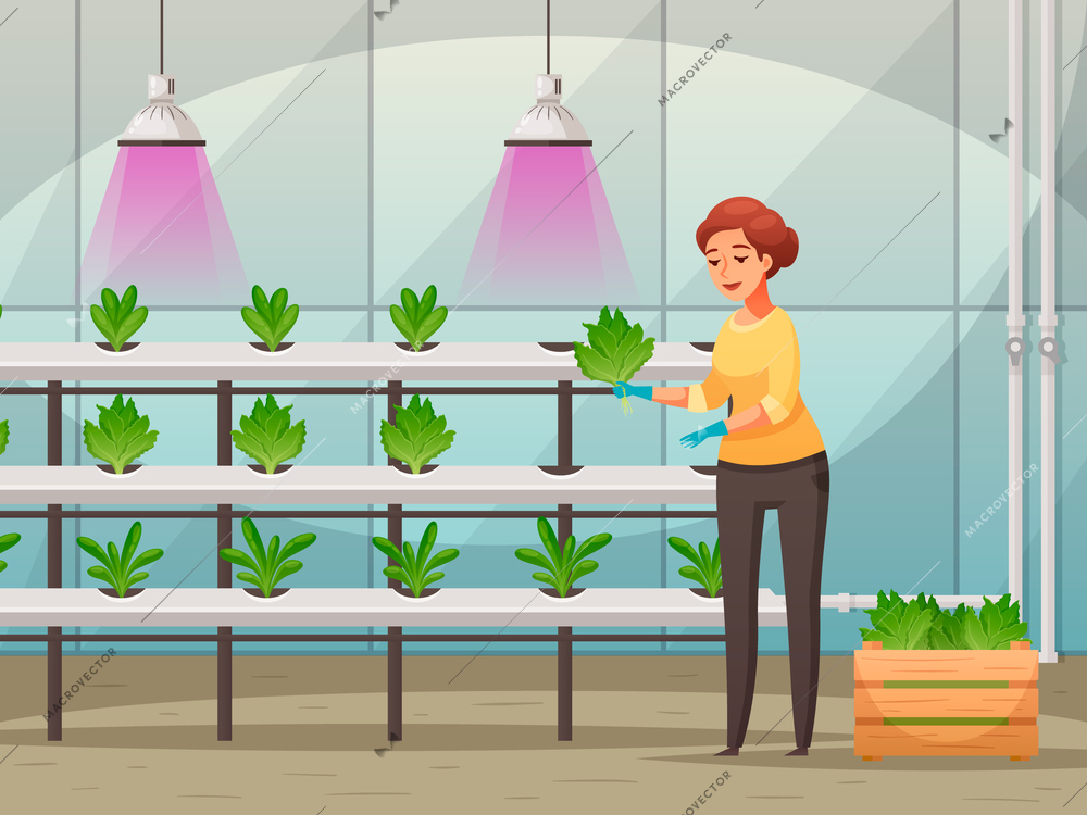 Greenhouse farming background with led light nutrients cartoon vector illustration