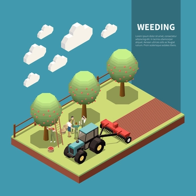 Weeding isometric composition with farmers harvesting apples and tractor cultivating soil around orchard trees vector illustration