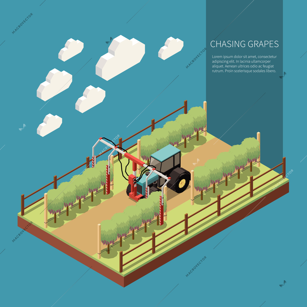 Chasing grapes in vine yard isometric composition with embossing machine in work process vector illustration