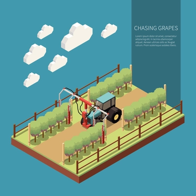 Chasing grapes in vine yard isometric composition with embossing machine in work process vector illustration