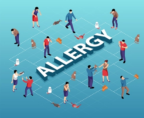 Isometric flowchart with various allergens and people suffering from allergy on blue background 3d vector illustration