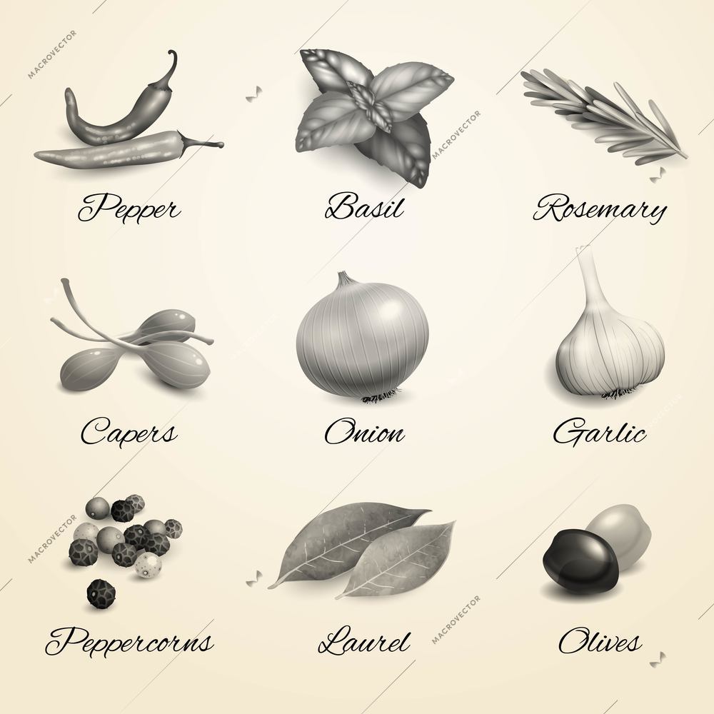 Herbs and spices decorative elements black and white kitchen set isolated vector illustration.