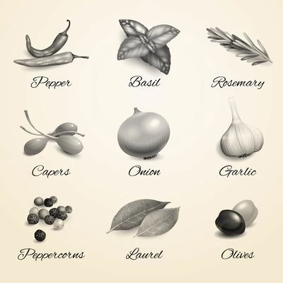 Herbs and spices decorative elements black and white kitchen set isolated vector illustration.