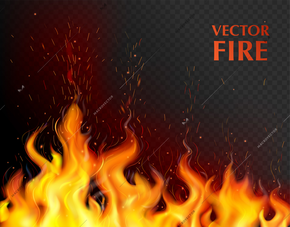 Orange and realistic fire flame background with open flame on black fond vector illustration