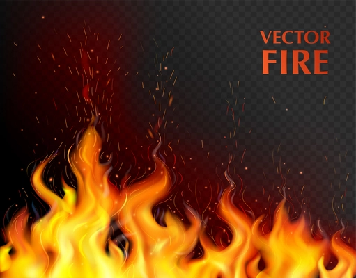 Orange and realistic fire flame background with open flame on black fond vector illustration