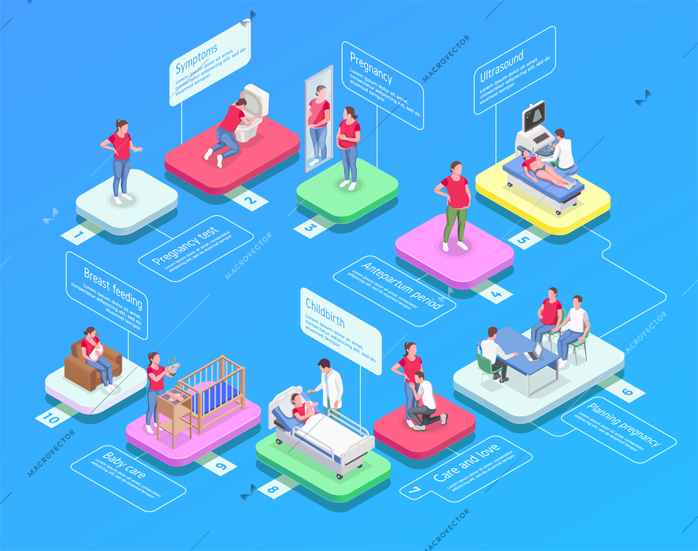 Isometric flowchart with icons showing stages of pregnancy and women after delivering baby on blue background 3d vector illustration