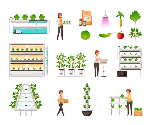 Greenhouse farming set with vertical hydroponics and aeroponics symbols cartoon vector illustration