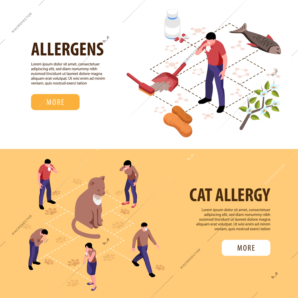 Isometric set of two horizontal banners with people having cat allergy and other allergens 3d isolated vector illustration