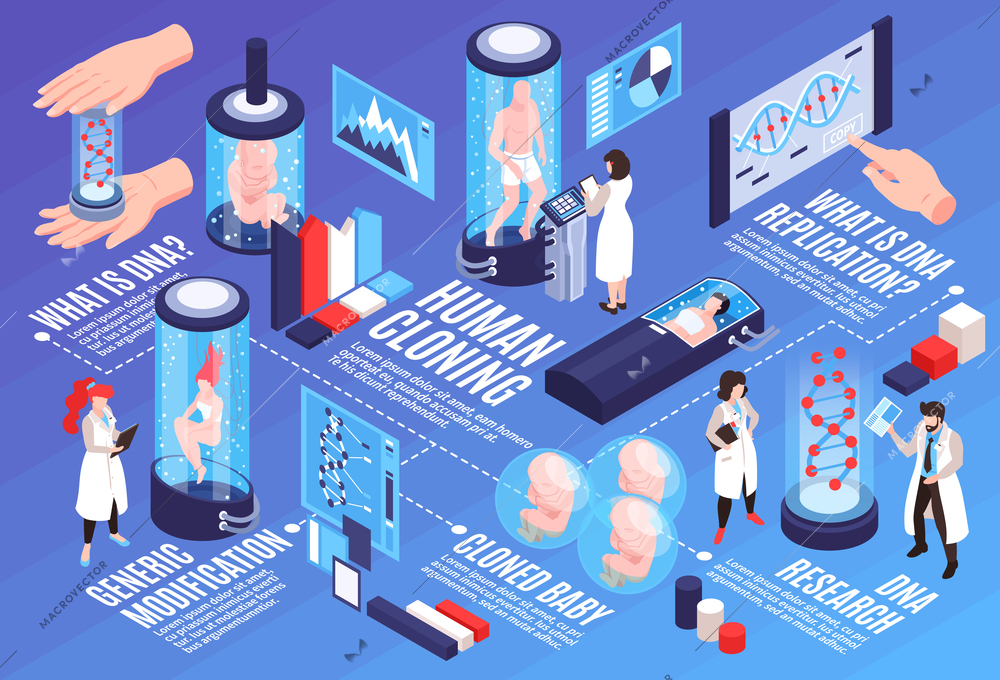 Human cloning  infographics horizontal illustration with text and visual information about generic dna modification scientific  research and replication isometric vector illustration