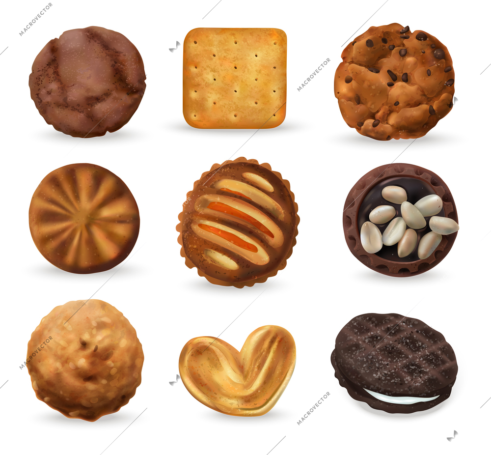 Realistic cookies set with peanuts vanilla and chocolate isolated vector illustration