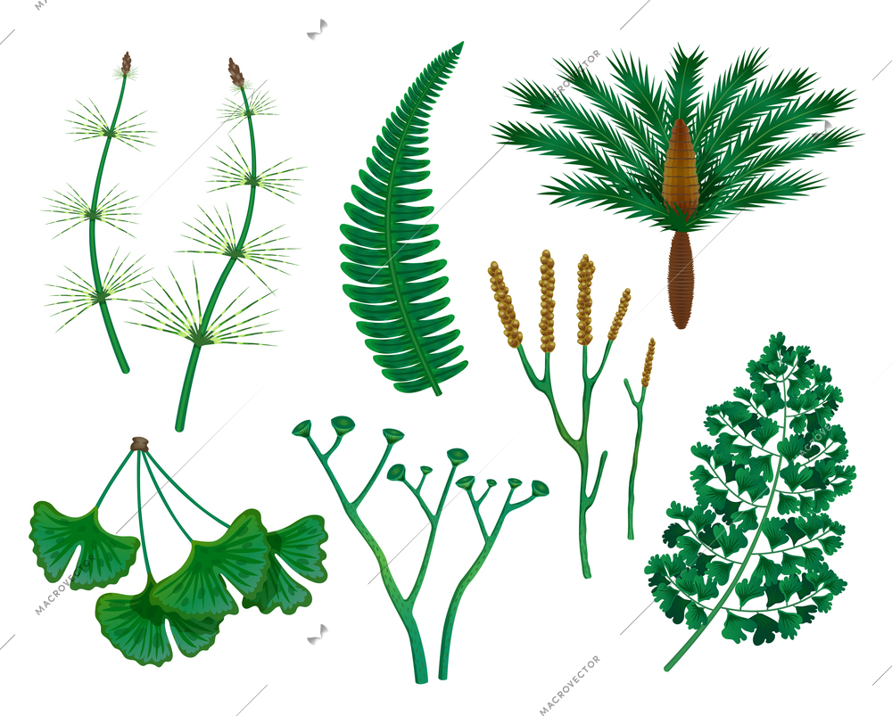 Prehistoric plants set with isolated images of wild herbs of the prehistoric times on blank background vector illustration