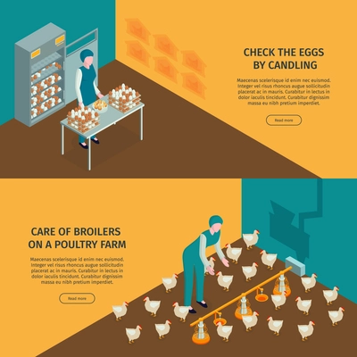 Isometric poultry farm horizontal banners set with editable text clickable read more button and worker characters vector illustration