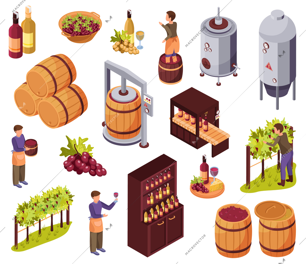 Wine production icons set with harvest and restaurant symbols isometric isolated vector illustration