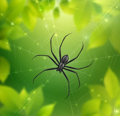 Spider on web realistic composition with blurry nature background with leaves and spiderweb with hanging insect vector illustration