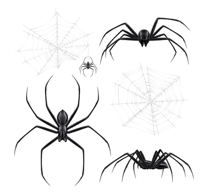 Black spiders realistic set with isolated images of spiderweb crackles and arthropod insects on blank background vector illustration