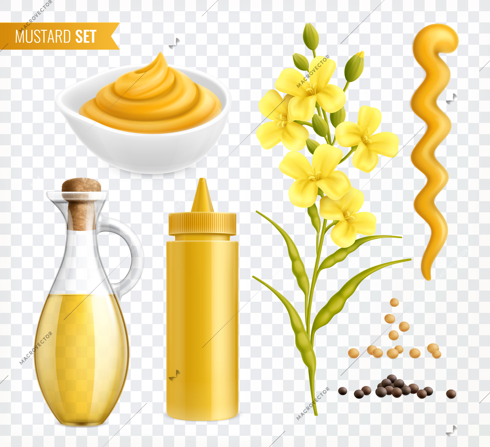 Mustard realistic set of isolated images on transparent background with plants seeds and jars with text vector illustration