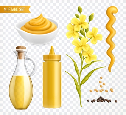 Mustard realistic set of isolated images on transparent background with plants seeds and jars with text vector illustration