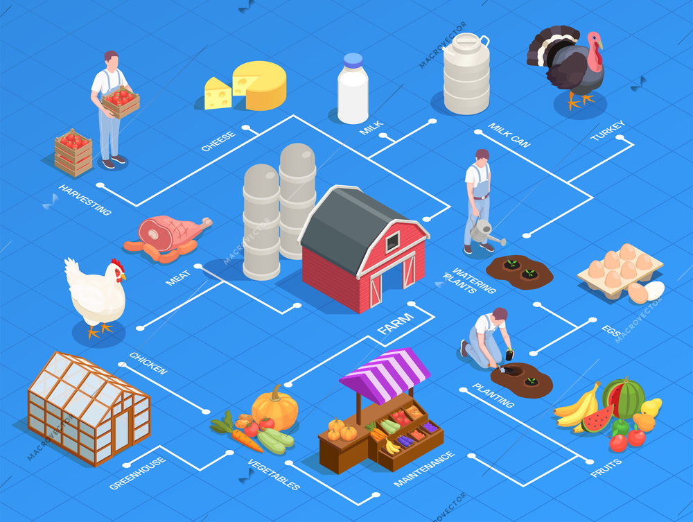 Isometric flowchart with local farm products equipment birds farmers on blue background 3d vector illustration