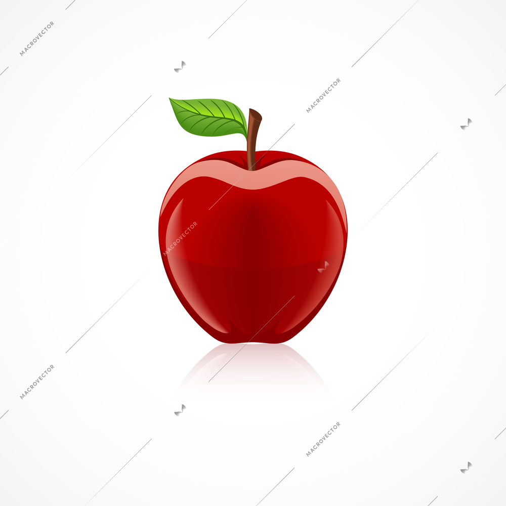 Apple fruit icon with reflection in glossy style vector illustration