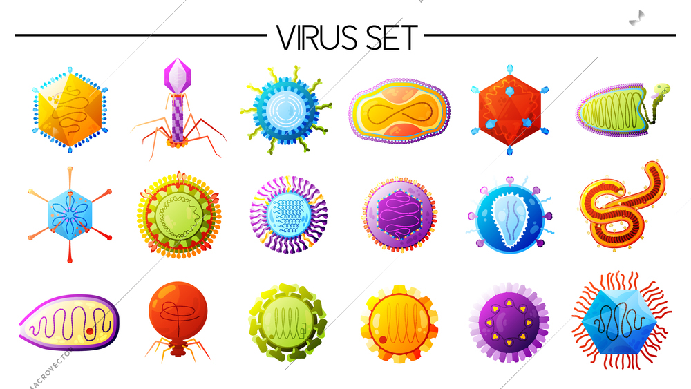 Human viruses varieties colorful icons set with smallpox different types flu measles polio ebola isolated vector illustration