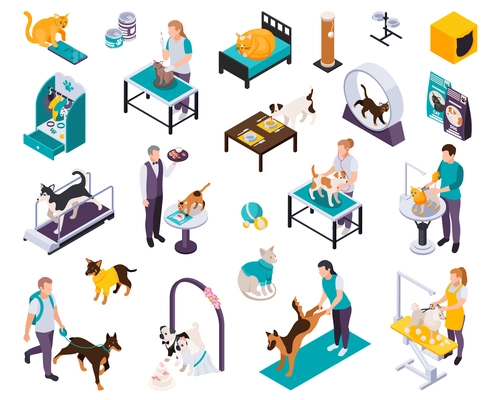 Pet hotel day care center gym playground dogs grooming walking vet examination services isometric icons set vector illustration